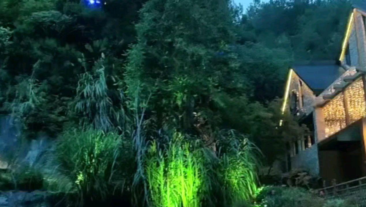 汪峰发声否认再婚传闻!称跟陈露根本没有交集,爆料纯属子虚乌有
